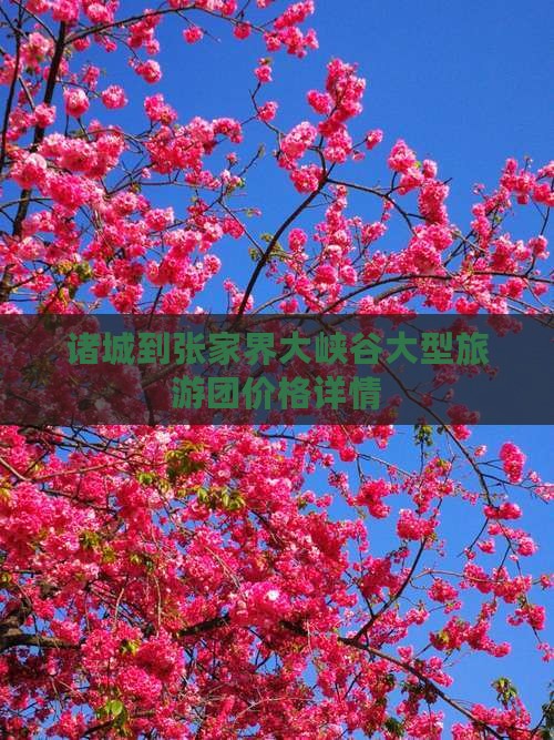 诸城到张家界大峡谷大型旅游团价格详情