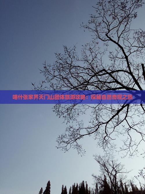 喀什张家界天门山团体旅游攻略：探秘自然奇观之旅