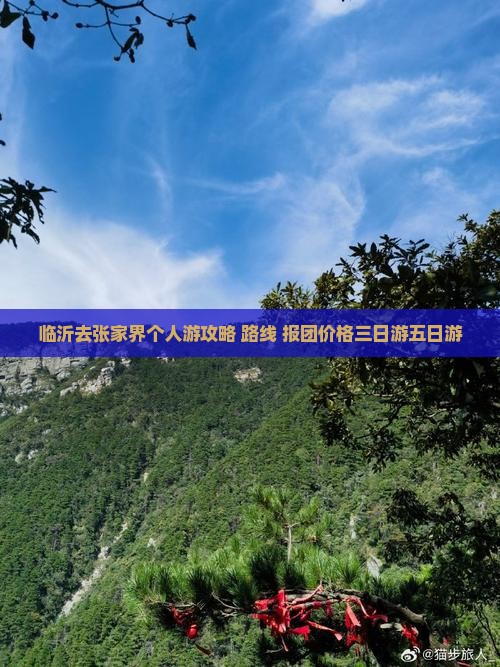 临沂去张家界个人游攻略+路线+报团价格三日游五日游
