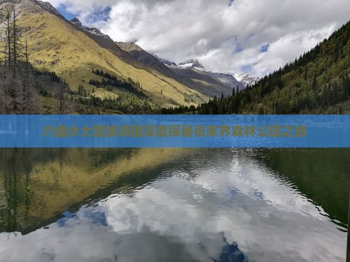 六盘水大型旅游团深度探秘张家界森林公园之旅