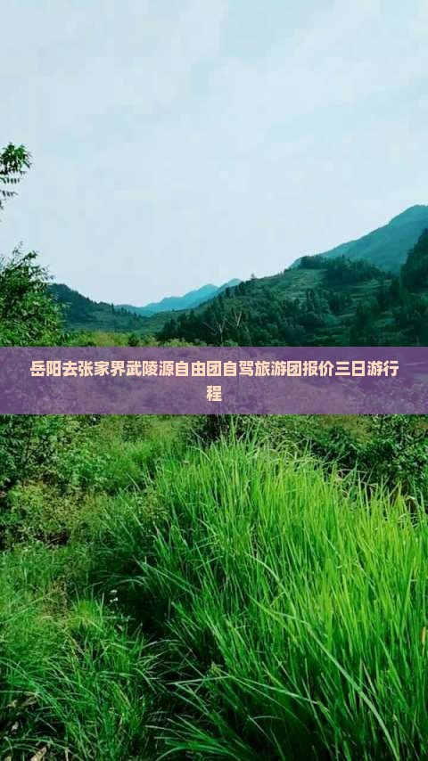 岳阳去张家界武陵源自由团自驾旅游团报价三日游行程