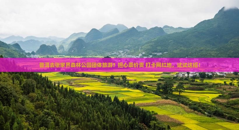 普洱去张家界森林公园团体旅游