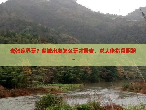 盐城去张家界哪里玩