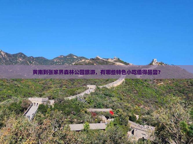 黄南到张家界森林公园旅游小吃