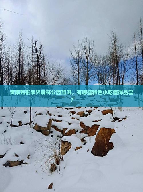 黄南到张家界森林公园旅游小吃