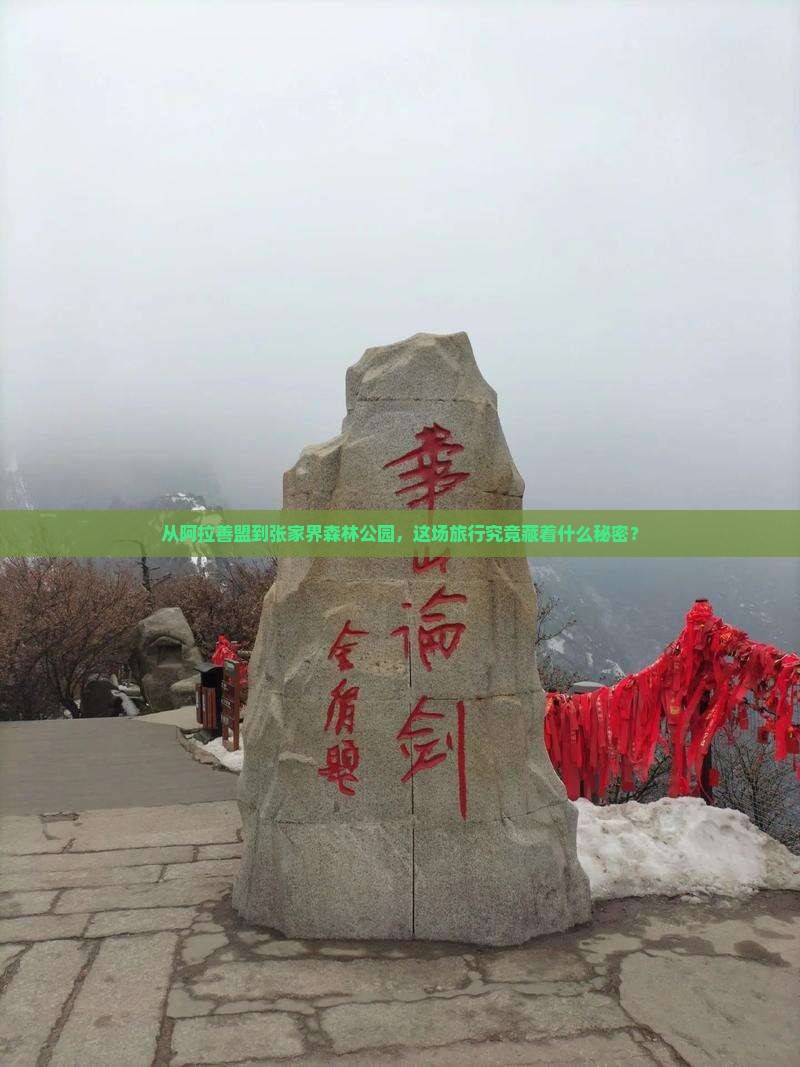 阿拉善盟到张家界森林公园旅游