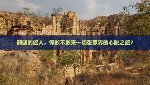 鹤壁去张家界旅游 鹤壁去张家界旅游