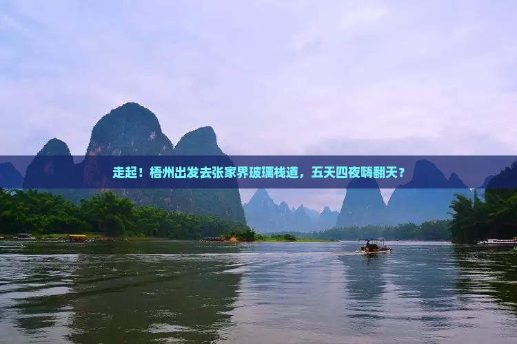 梧州到张家界玻璃栈道五日游