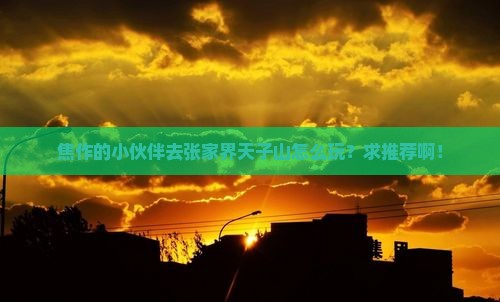 焦作去张家界天子山哪里玩