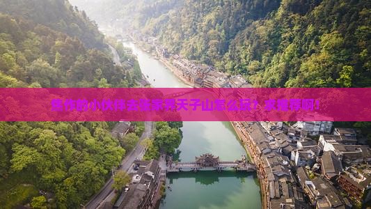 焦作去张家界天子山哪里玩