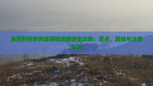 海西到张家界玻璃栈道旅游