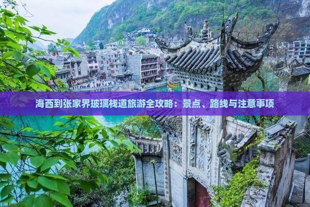 海西到张家界玻璃栈道旅游