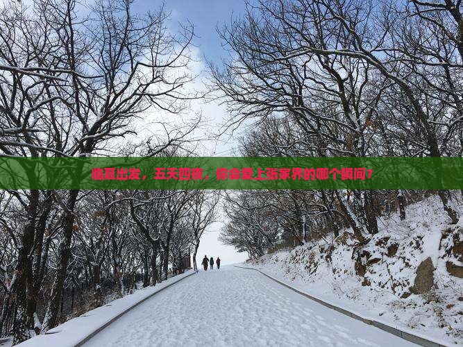 临夏到张家界天子山五日游