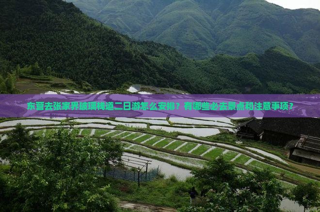 东营到张家界玻璃栈道二日游