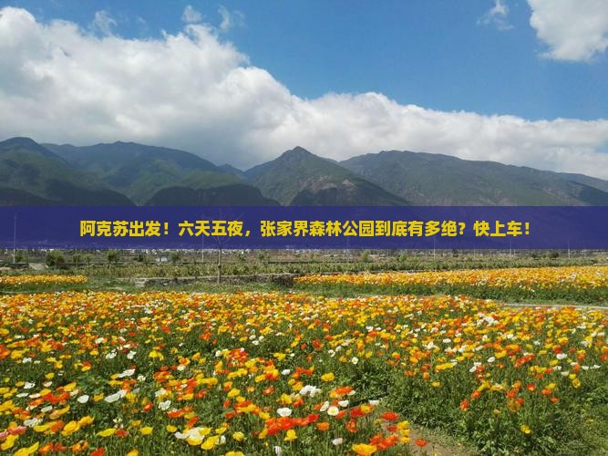 阿克苏到张家界森林公园六日游