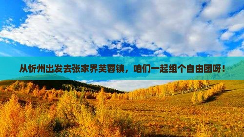 忻州到张家界芙蓉镇自由团