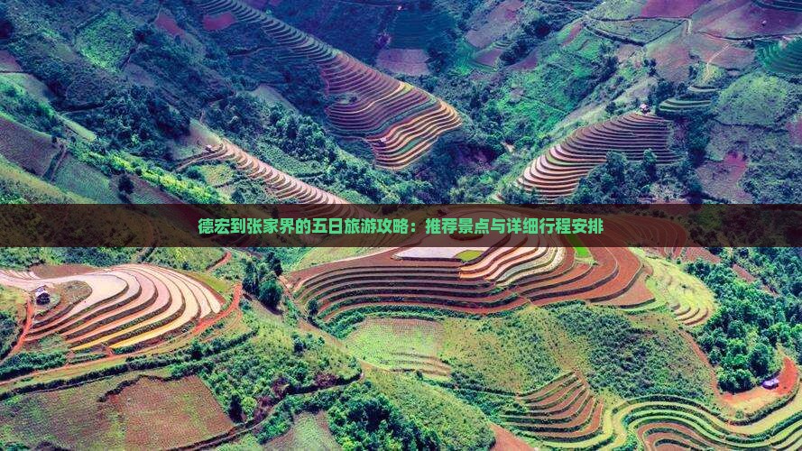 德宏去张家界袁家界五日游