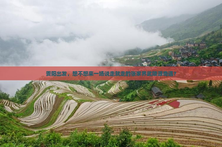 贵阳到张家界武陵源旅行社