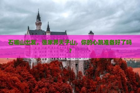 石嘴山去张家界天子山旅游