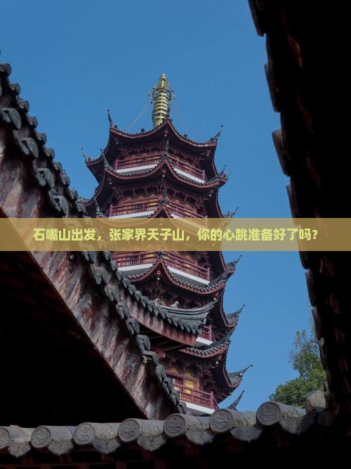 石嘴山去张家界天子山旅游
