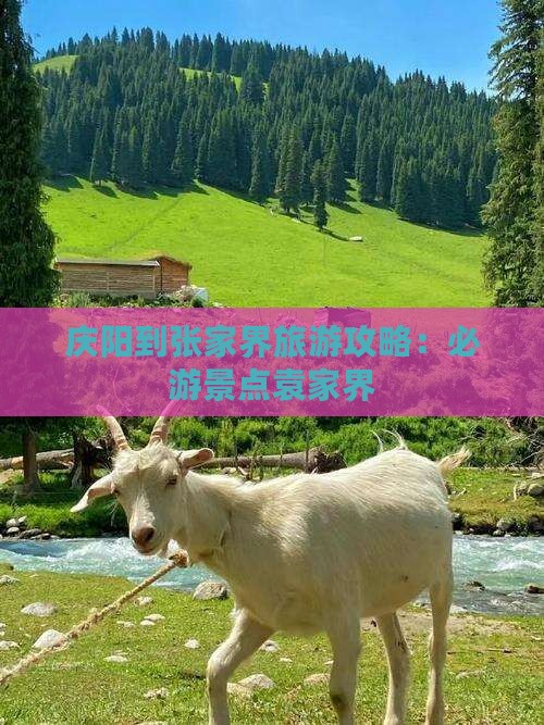 庆阳到张家界袁家界个人游
