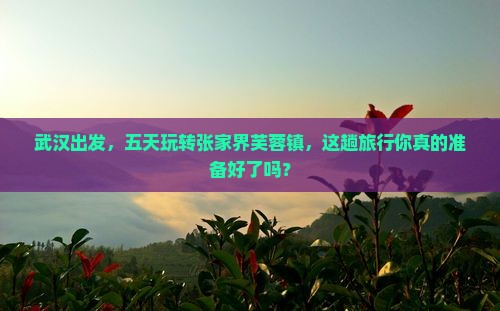 武汉到张家界芙蓉镇五日游