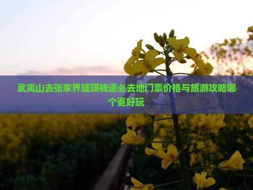 武夷山去张家界玻璃栈道必去地