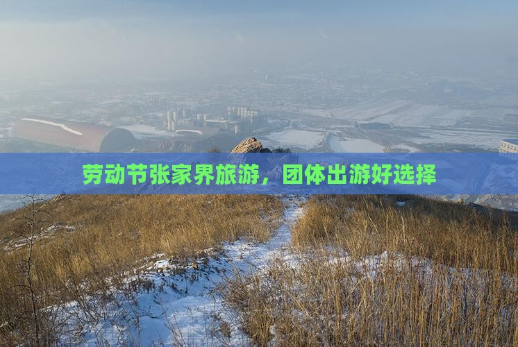 劳动节到张家界团体旅游