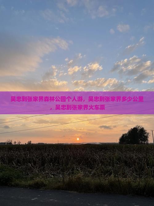 吴忠到张家界森林公园个人游