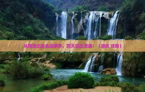 鹰潭去张家界四日游