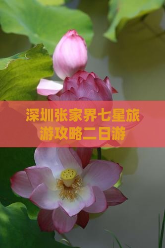 深圳去张家界七星山二日游