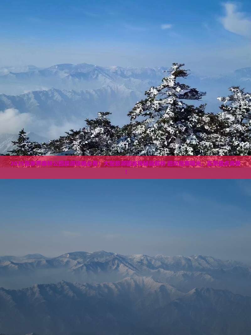 七月到张家界森林公园大型旅游团