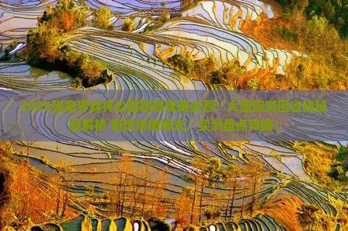 七月到张家界森林公园大型旅游团