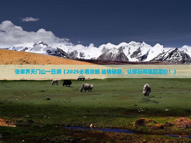 塔城去张家界天门山一日