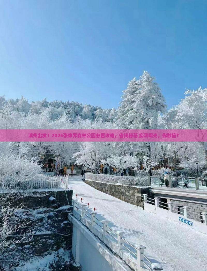 滨州到张家界森林公园旅游