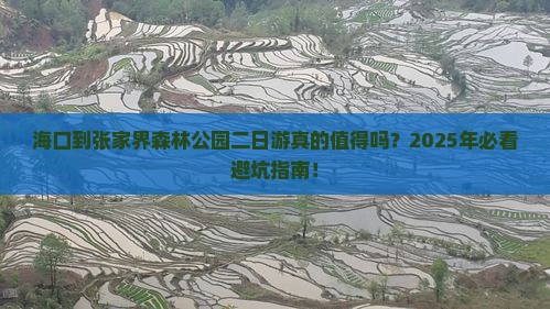 海口到张家界森林公园二日游
