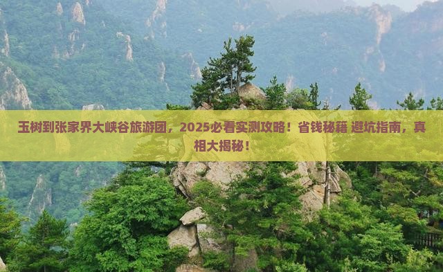 玉树到张家界大峡谷大型旅游团