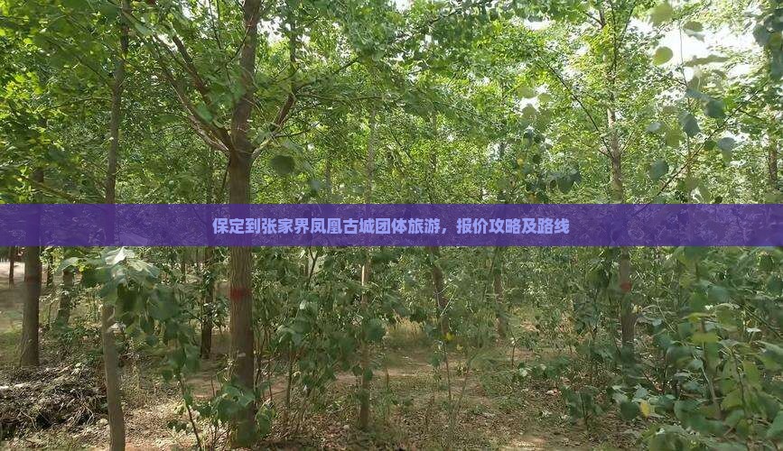 保定到张家界凤凰古城团体旅游