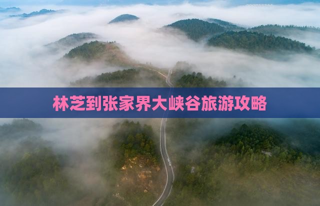 林芝到张家界大峡谷团体旅游