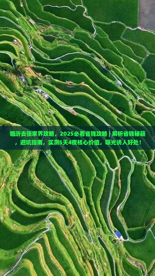 临沂去张家界攻略