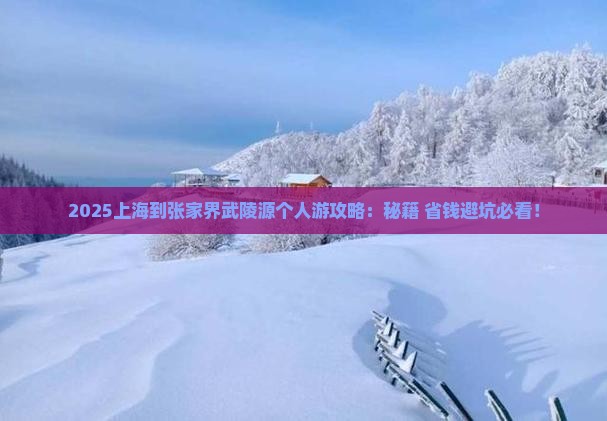 上海到张家界武陵源个人游