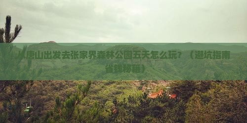 唐山去张家界森林公园五日游