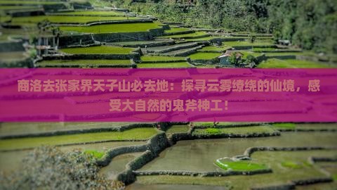 商洛去张家界天子山必去地