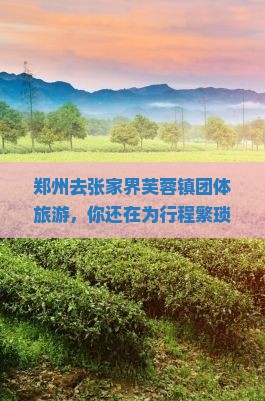 郑州去张家界芙蓉镇团体旅游