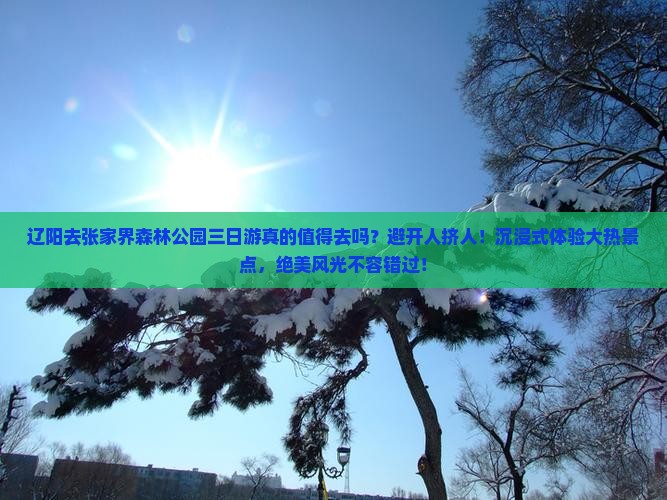 辽阳去张家界森林公园三日游
