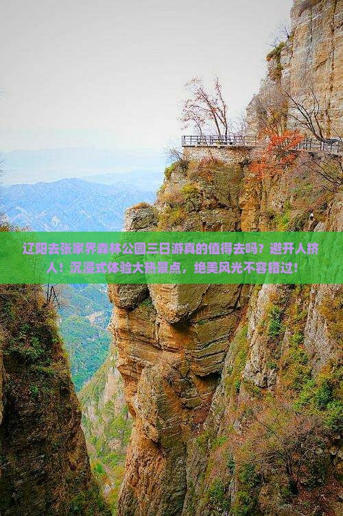 辽阳去张家界森林公园三日游