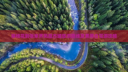 攀枝花到张家界凤凰古城旅游 攀枝花到张家界凤凰古城旅游
