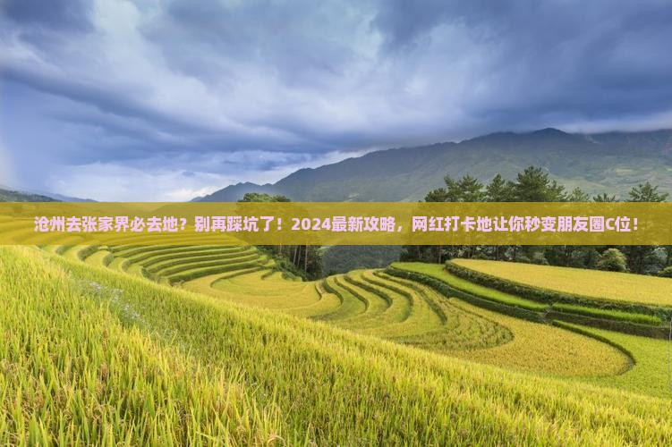 沧州去张家界必去地