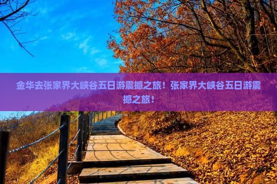 金华去张家界大峡谷五日游