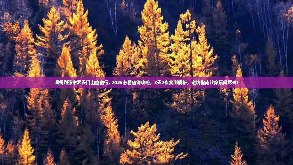 湖州到张家界天门山自由行